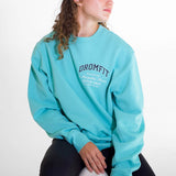 Sweat col rond Unisexe | Pool blue | University