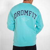 Sweat col rond Unisexe | Pool blue | University